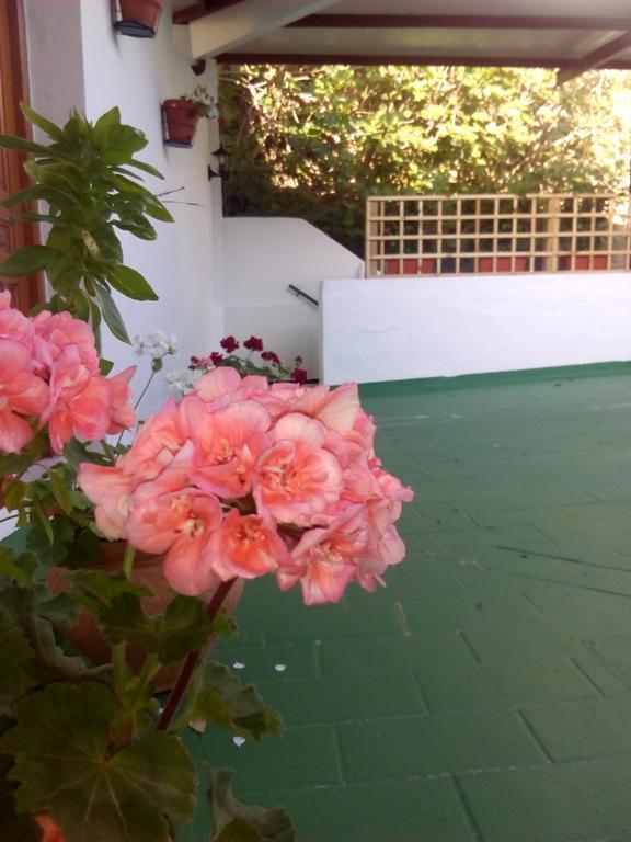 Hostal Batato Vejer de la Frontera Exterior foto